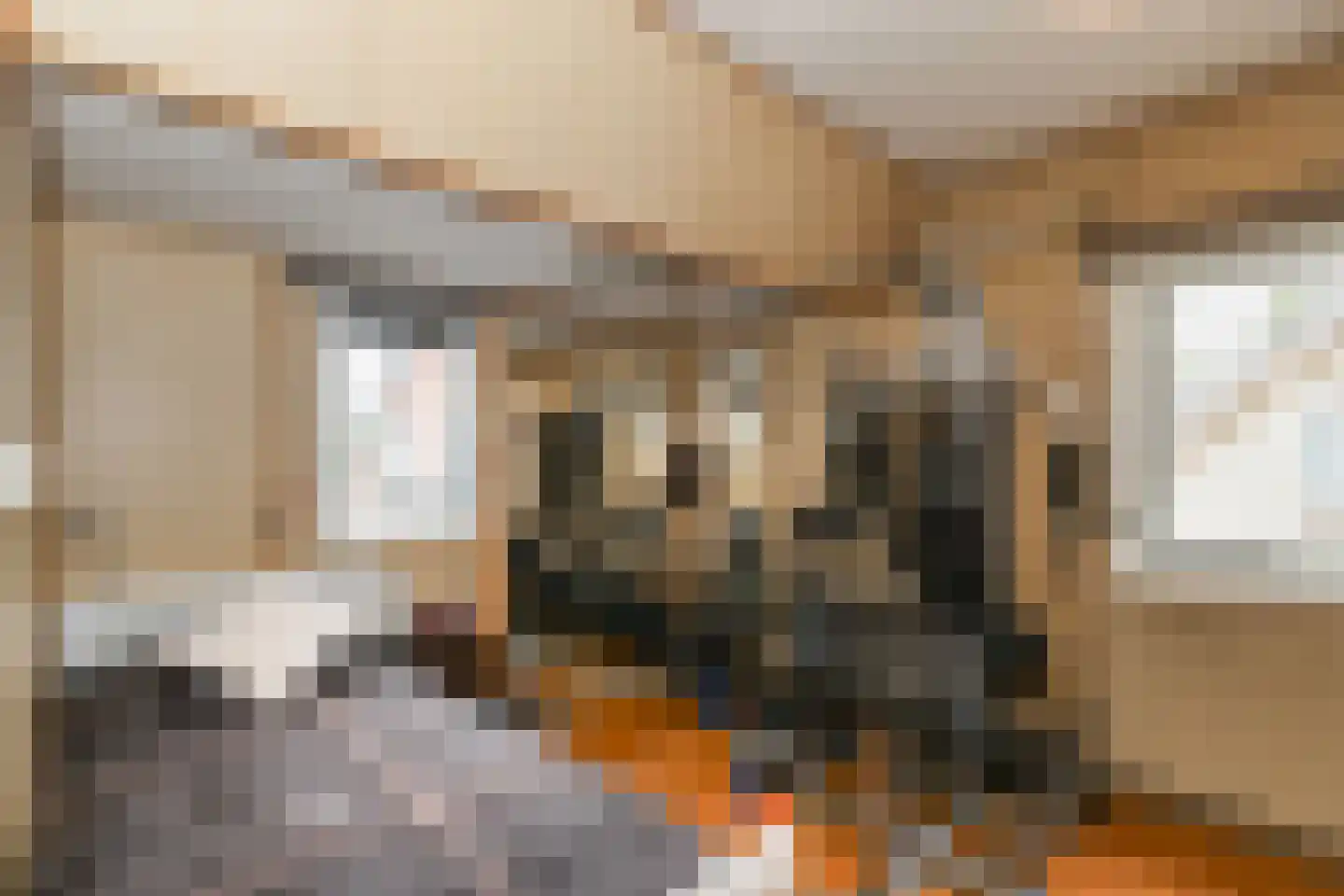 Rialaan 27 Oostvoorne thumbnail 48