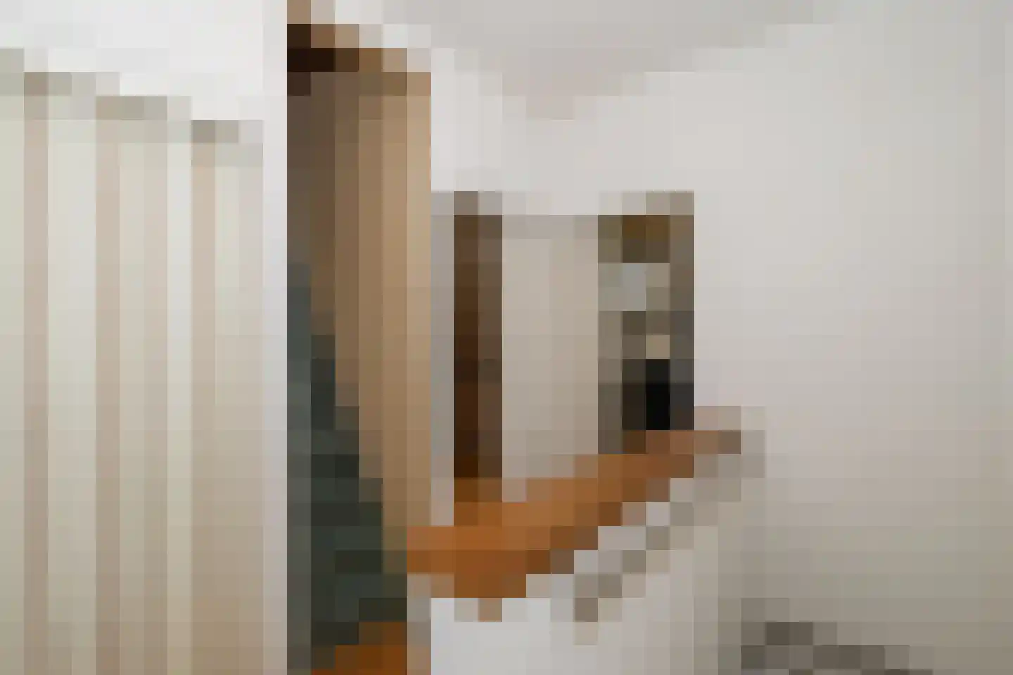 Rialaan 27 Oostvoorne thumbnail 54