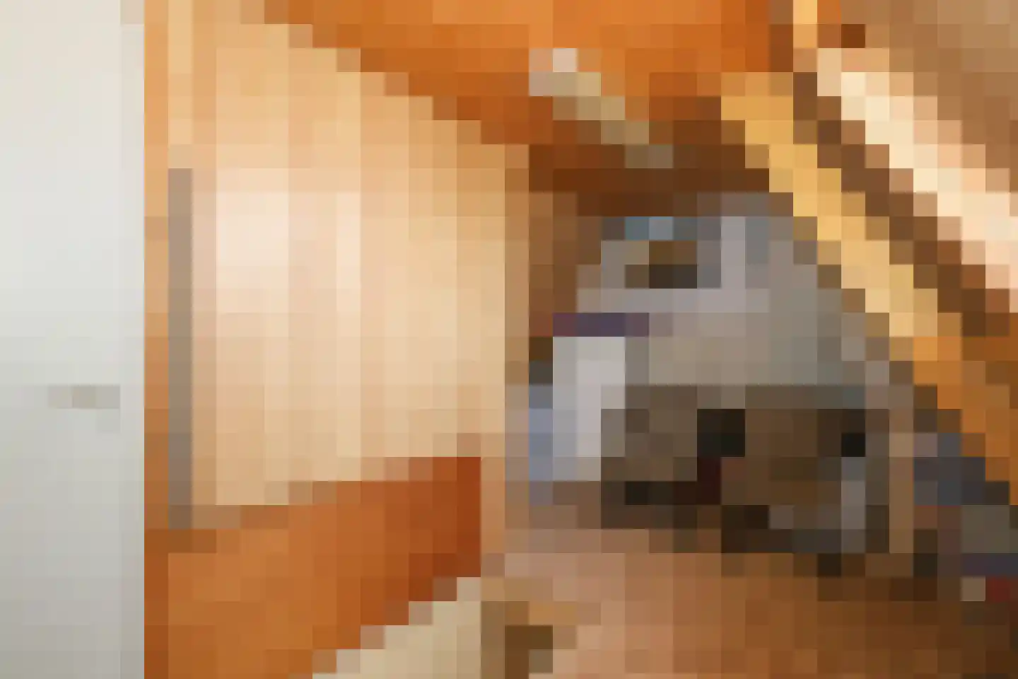 Rialaan 27 Oostvoorne thumbnail 55