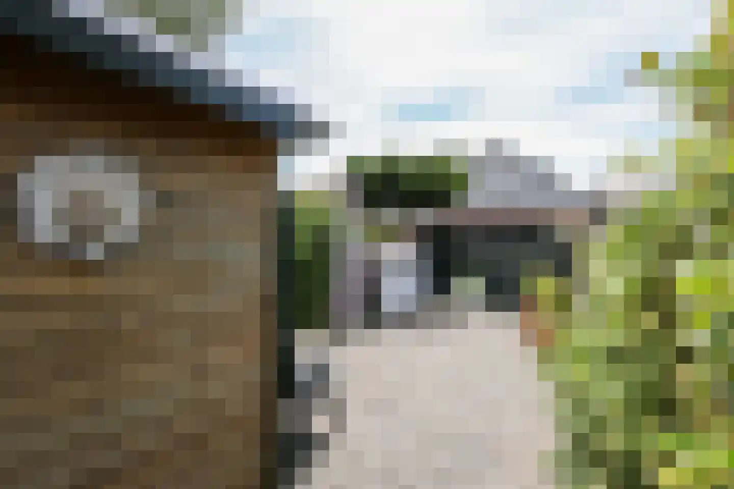Rialaan 27 Oostvoorne thumbnail 61