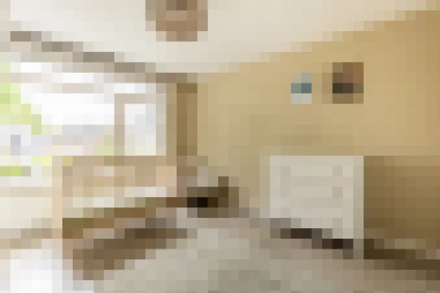 Rialaan 28 Oostvoorne thumbnail 26