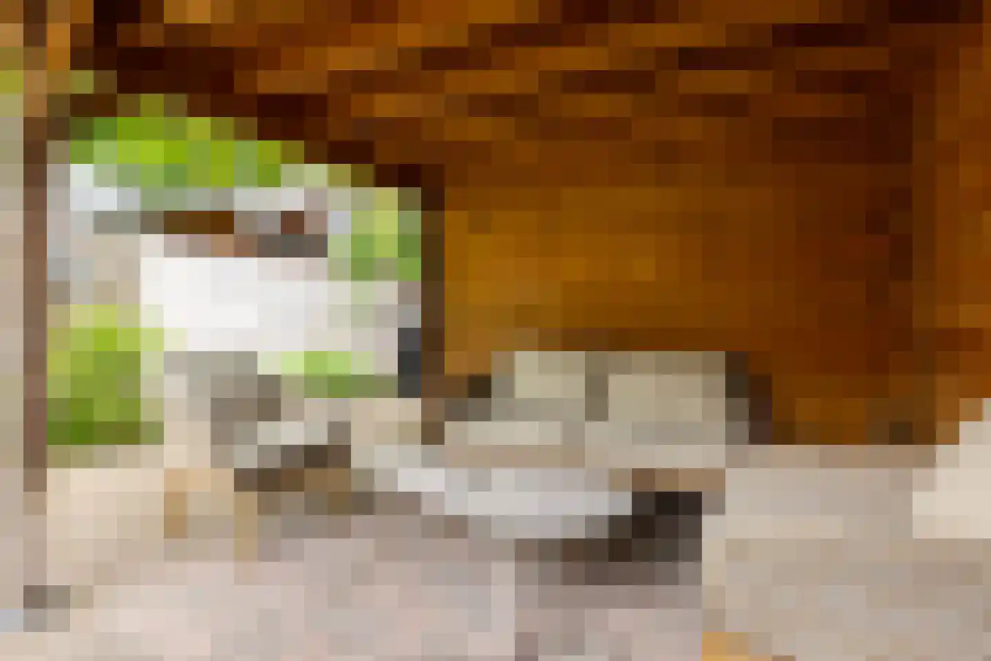 Rialaan 28 Oostvoorne thumbnail 38