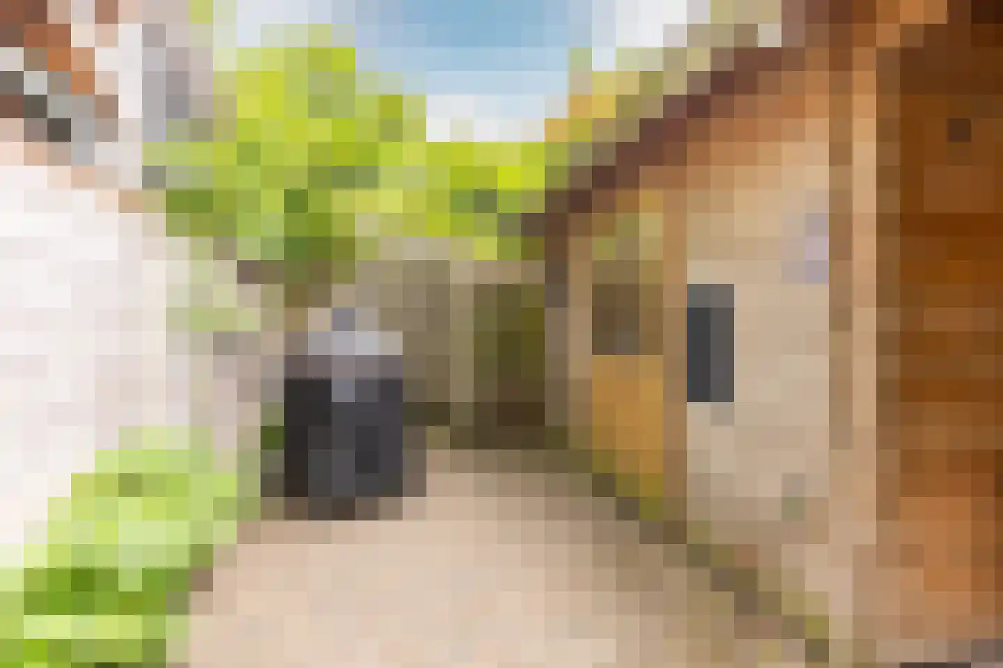 Rialaan 28 Oostvoorne thumbnail 39