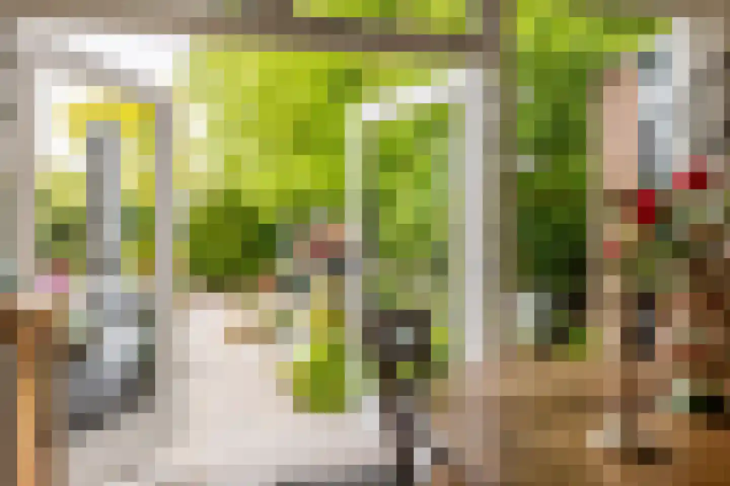 Rialaan 32 Oostvoorne thumbnail 13