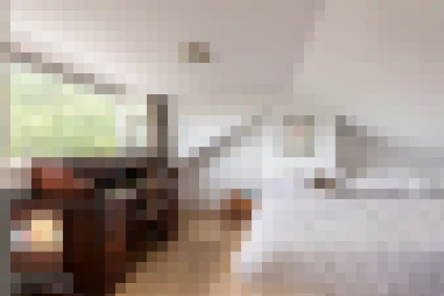 Rialaan 32 Oostvoorne thumbnail 29
