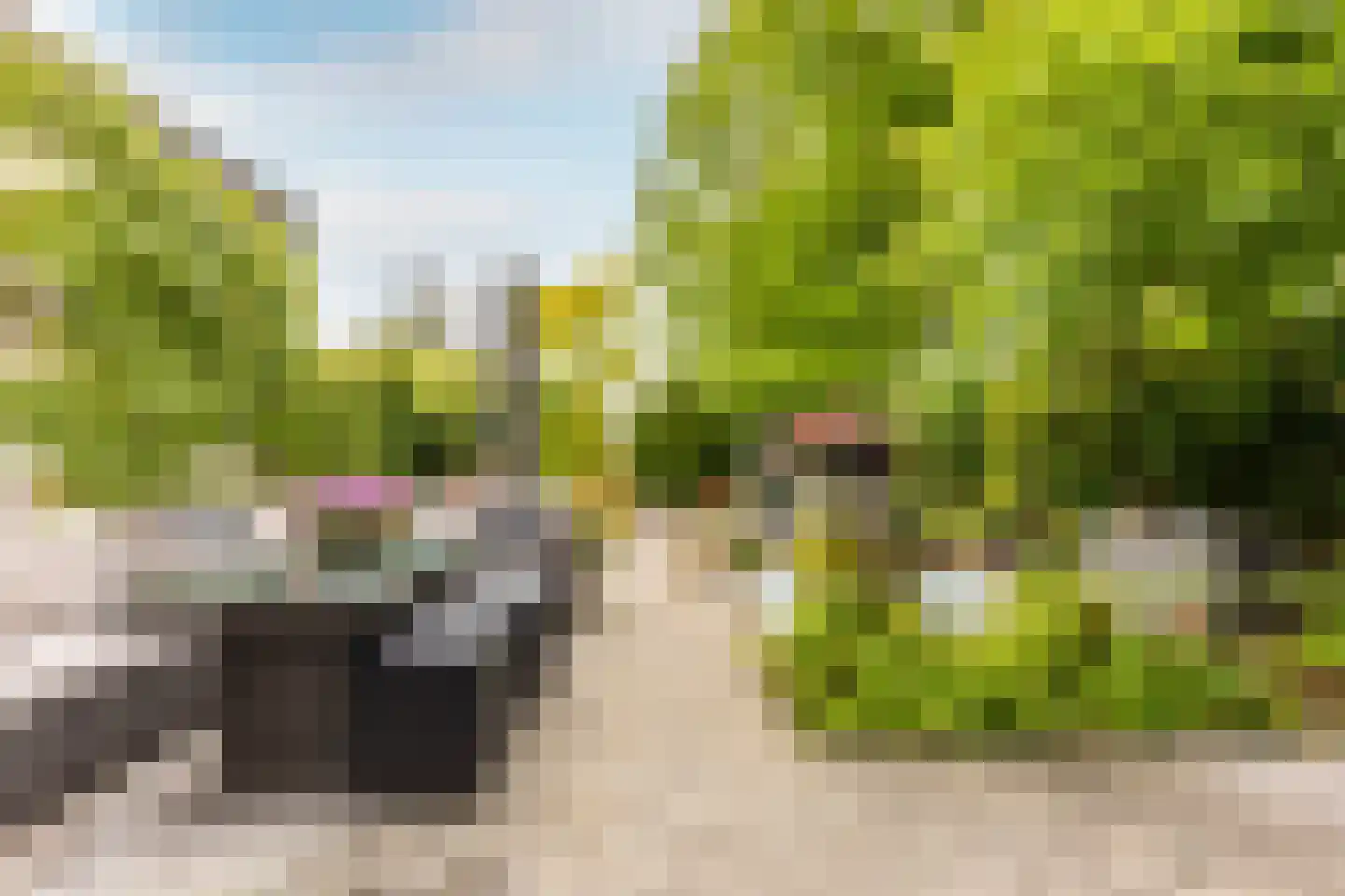 Rialaan 32 Oostvoorne thumbnail 31