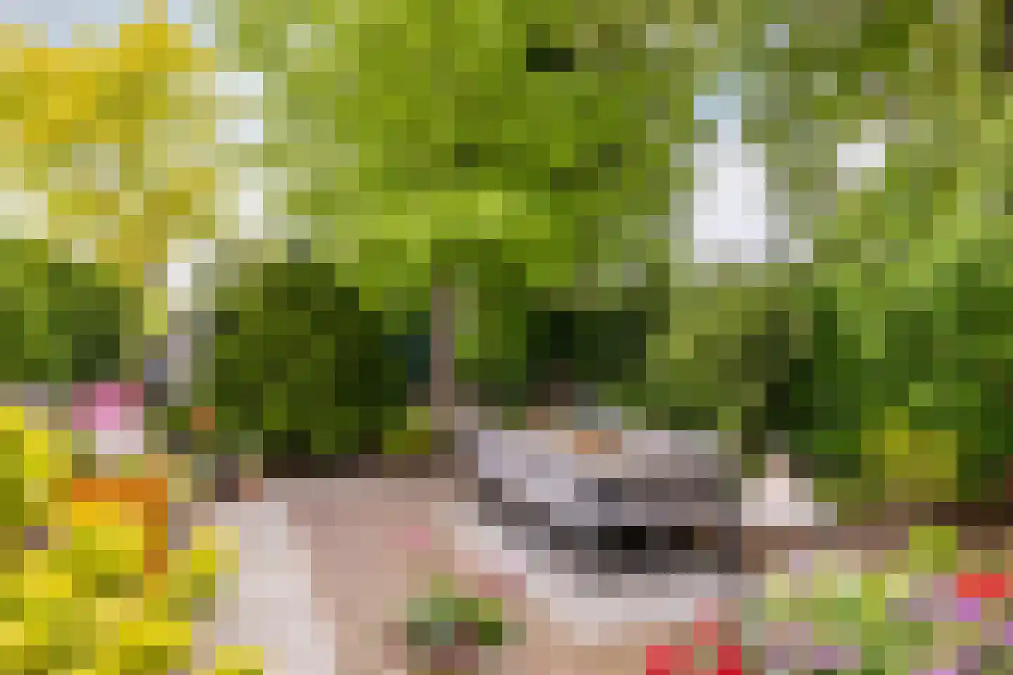 Rialaan 32 Oostvoorne thumbnail 32