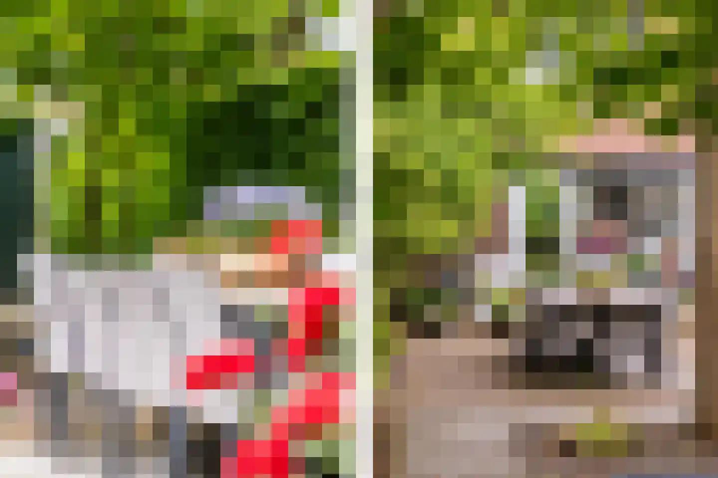 Rialaan 32 Oostvoorne thumbnail 33