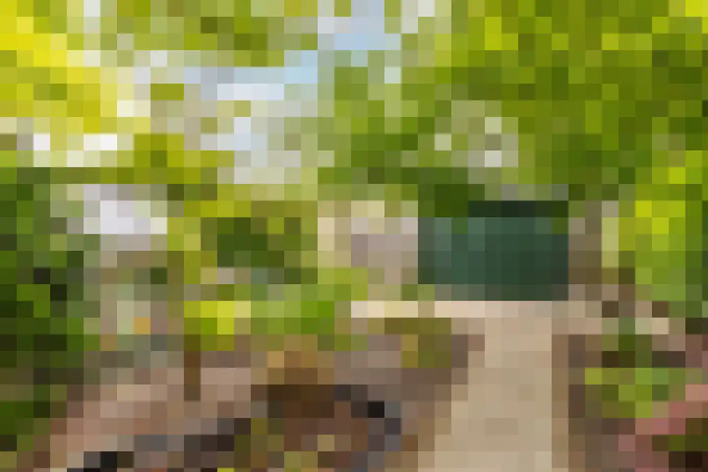 Rialaan 32 Oostvoorne thumbnail 34