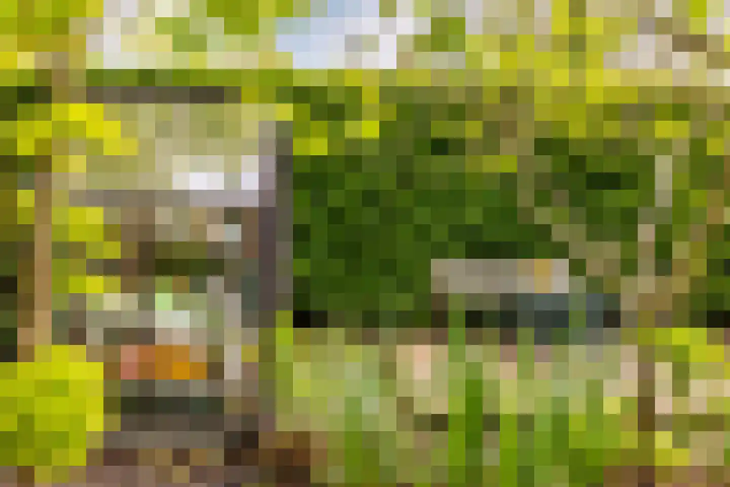 Rialaan 32 Oostvoorne thumbnail 35
