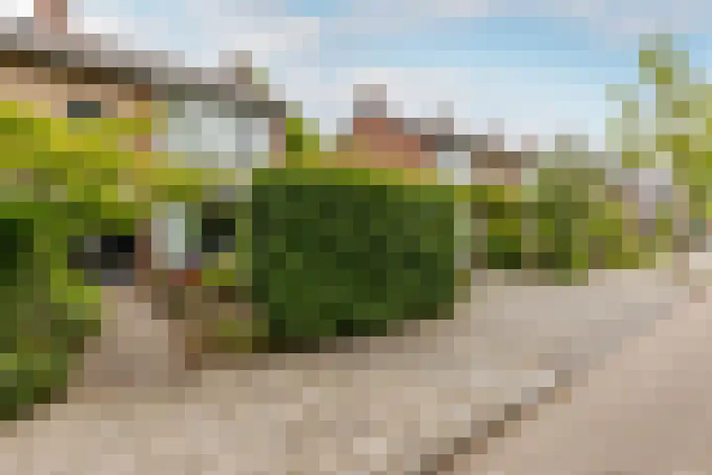 Rialaan 32 Oostvoorne thumbnail 5