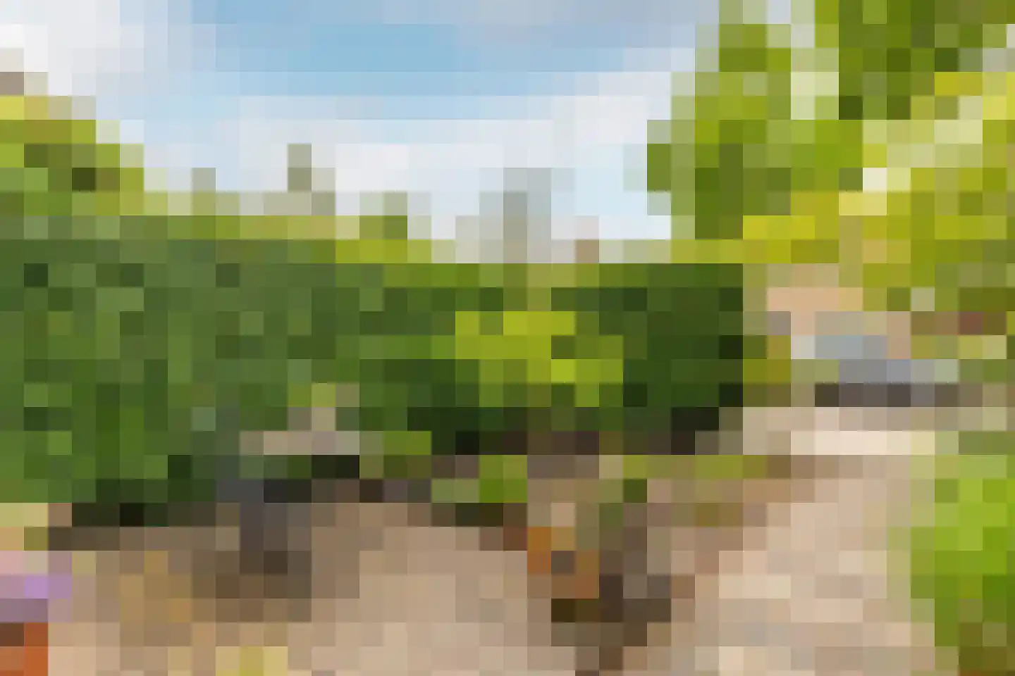 Rialaan 32 Oostvoorne thumbnail 6