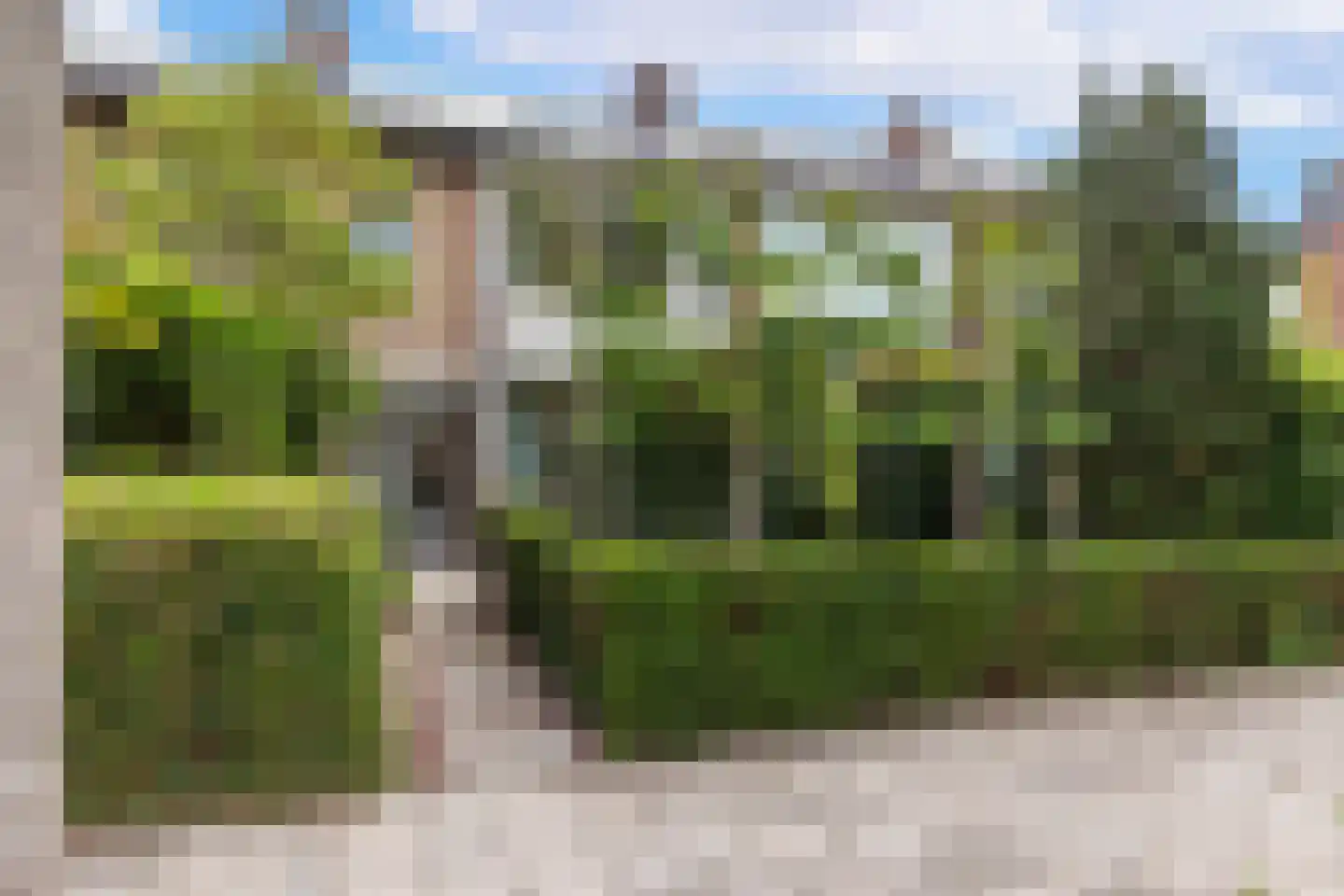 Rialaan 36 Oostvoorne