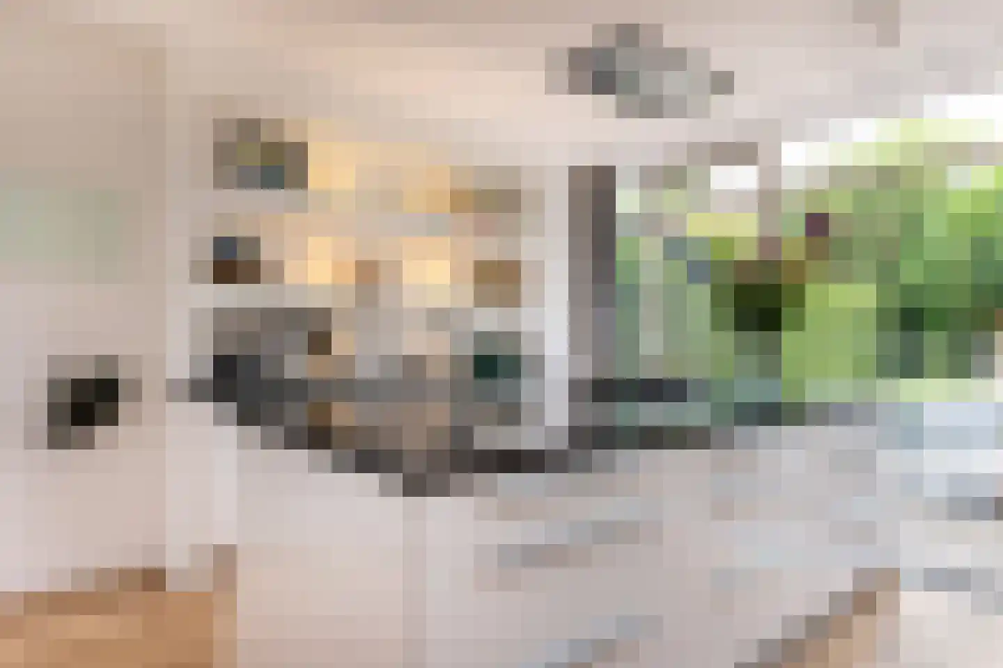 Rialaan 36 Oostvoorne thumbnail 13
