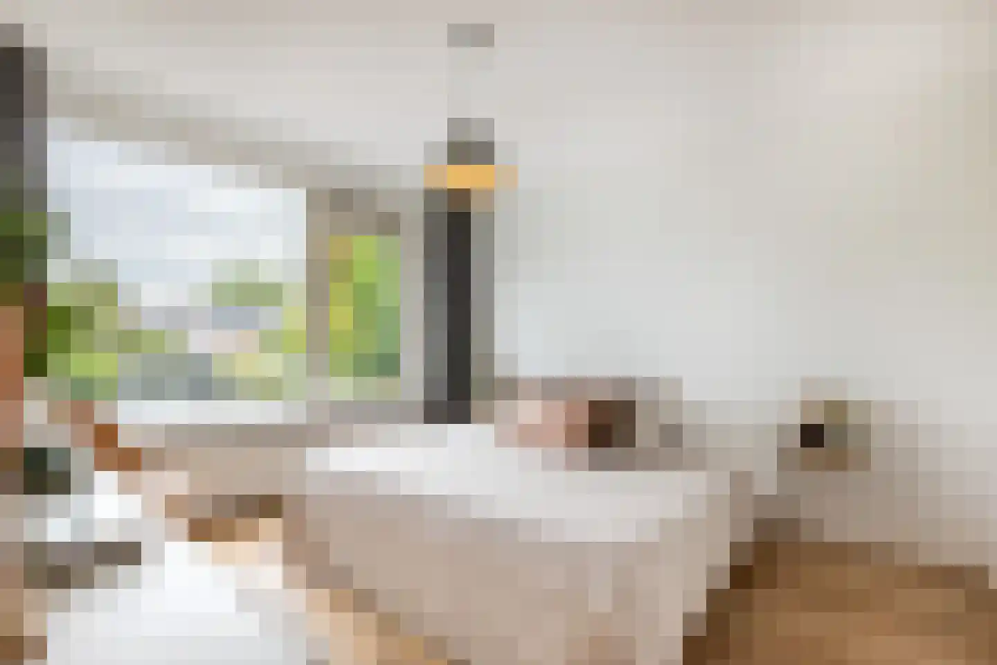 Rialaan 36 Oostvoorne thumbnail 24