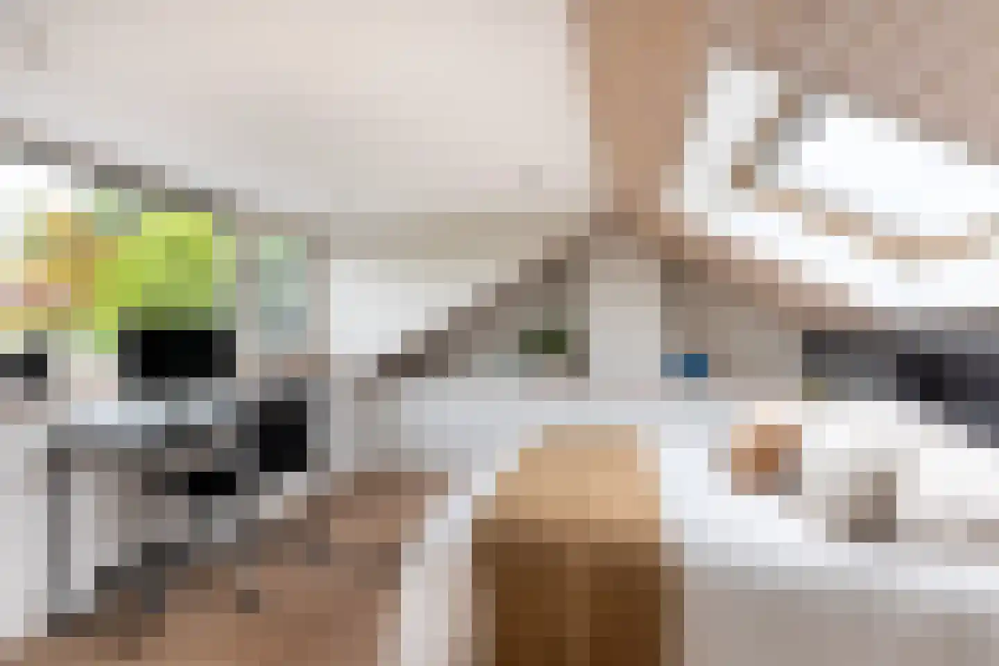 Rialaan 36 Oostvoorne thumbnail 33