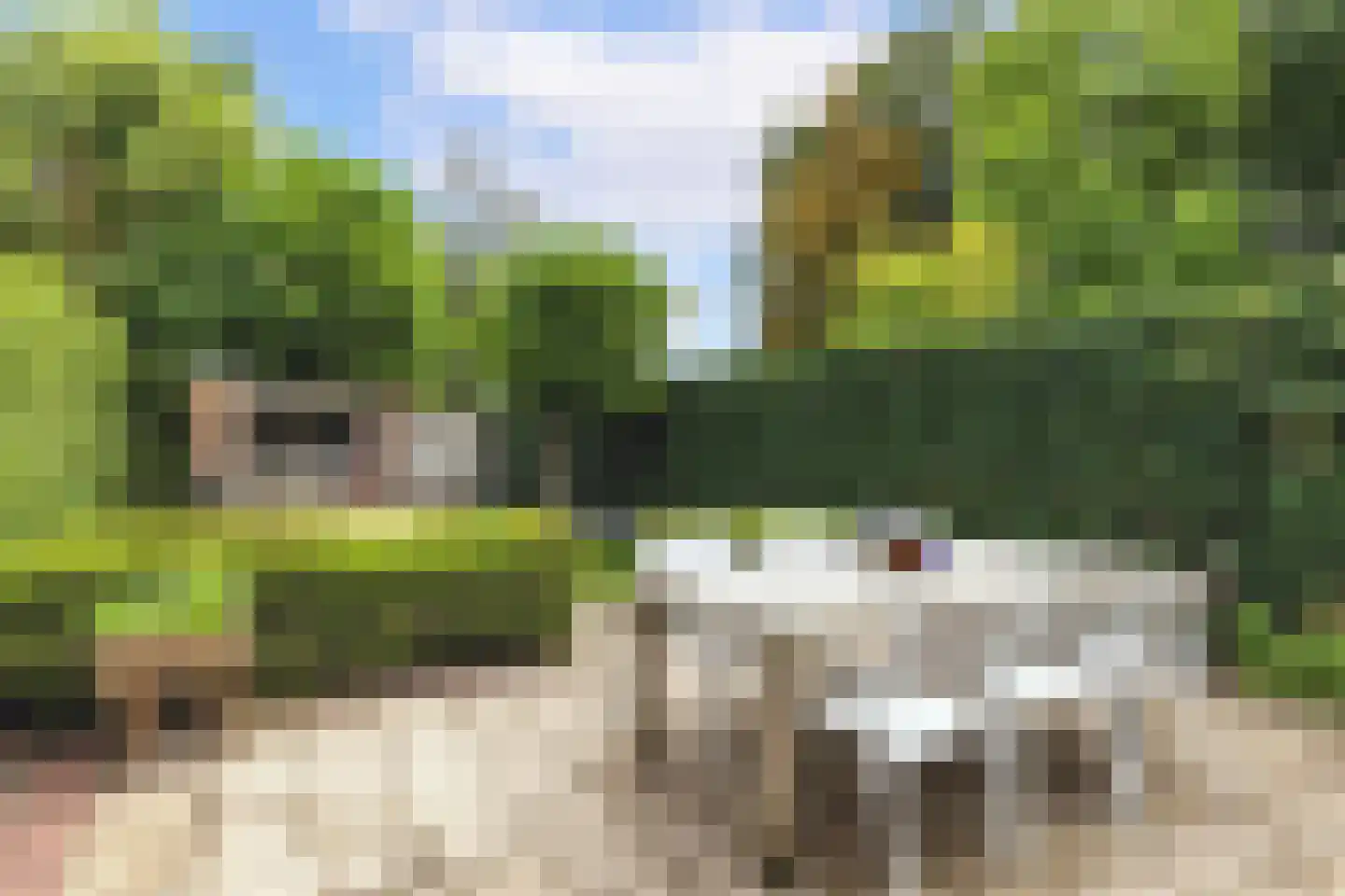 Rialaan 36 Oostvoorne thumbnail 38