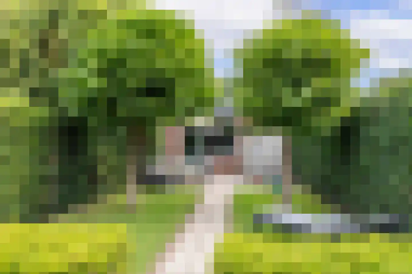 Rialaan 36 Oostvoorne thumbnail 39