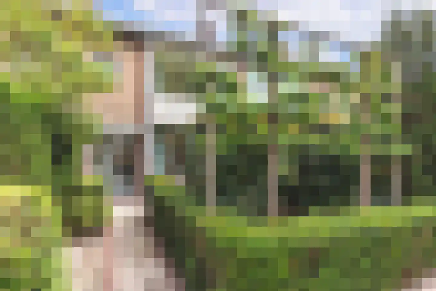 Rialaan 36 Oostvoorne thumbnail 4