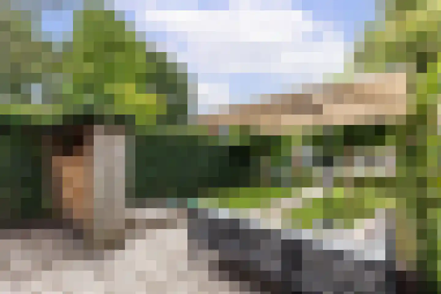 Rialaan 36 Oostvoorne thumbnail 41