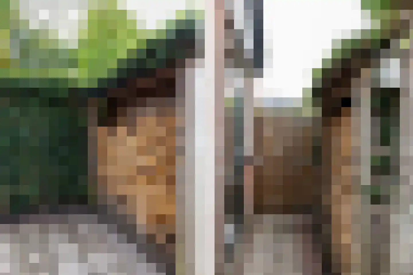 Rialaan 36 Oostvoorne thumbnail 42