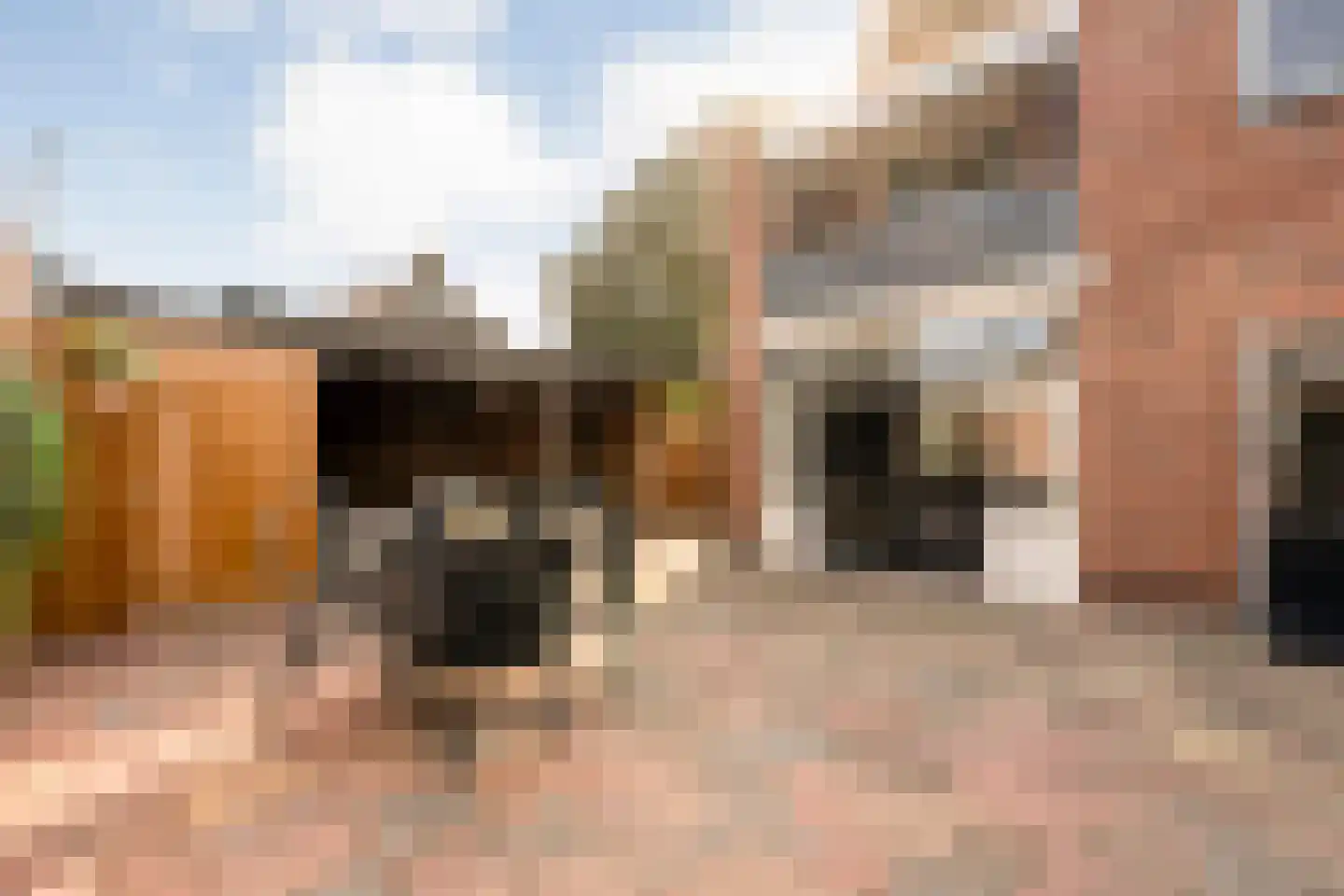 Ribbelerbrinkstraat 129 Enschede thumbnail 39
