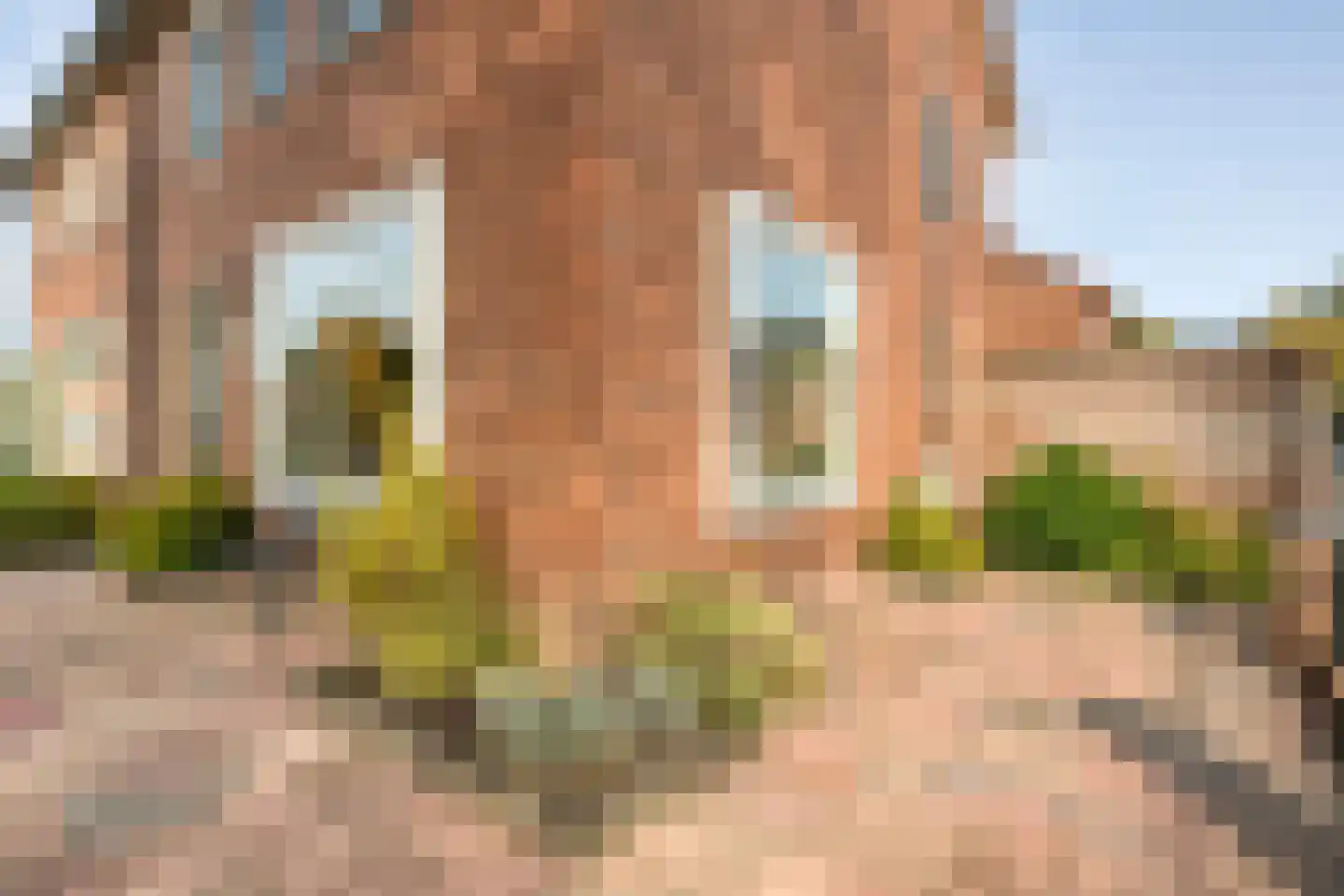 Ribbelerbrinkstraat 129 Enschede thumbnail 46