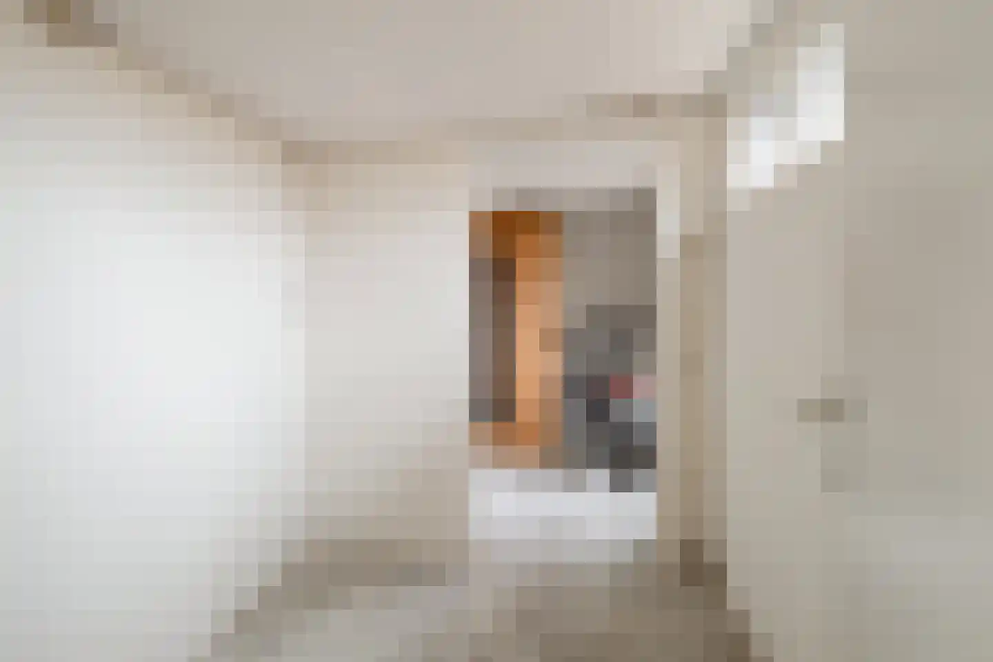 Ribbelerbrinkstraat 60 Enschede thumbnail 19