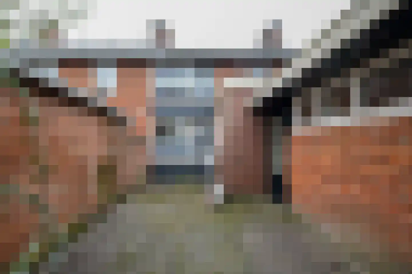 Ribbelerbrinkstraat 60 Enschede thumbnail 23