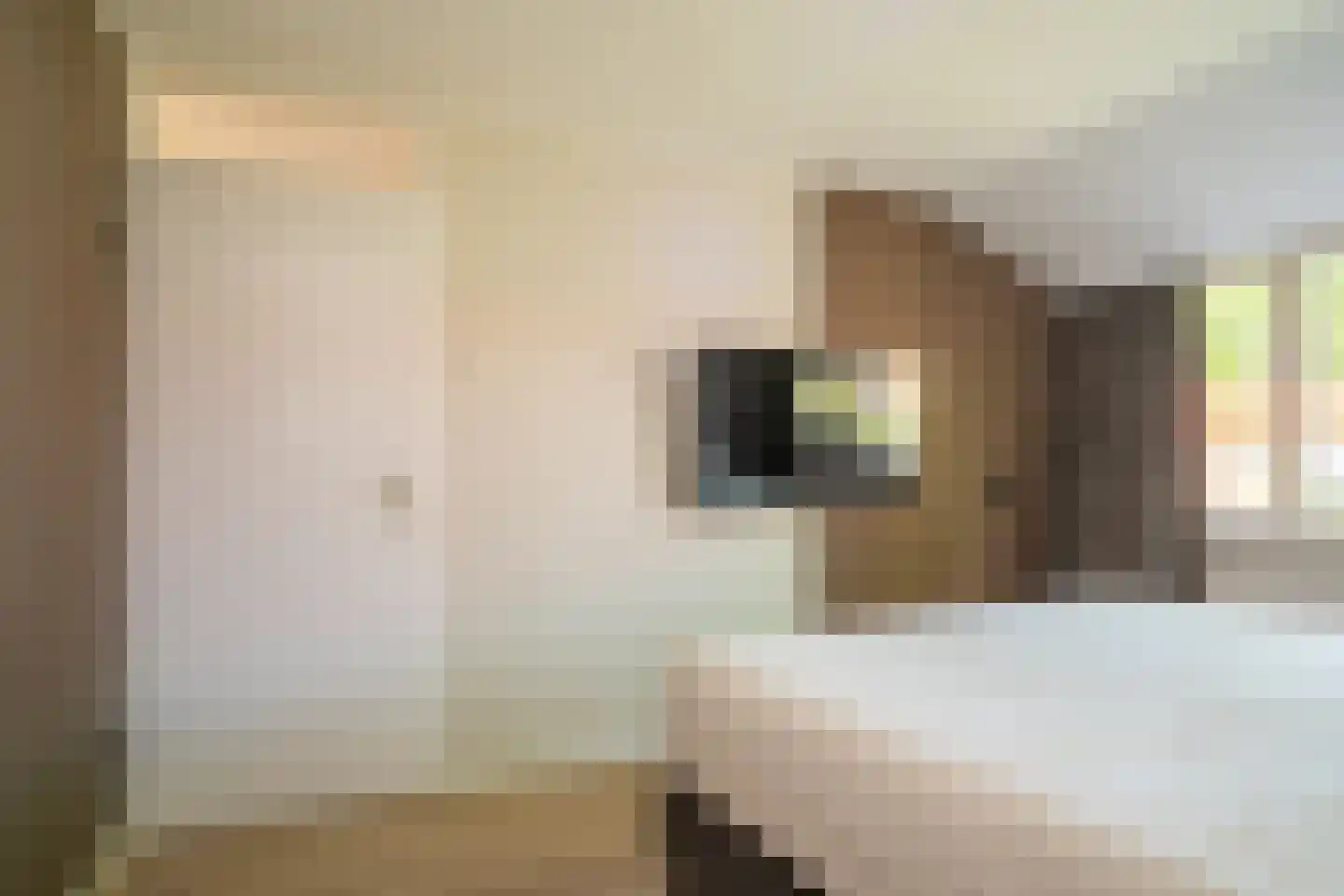 Ribbelthorst 5 Enschede thumbnail 18