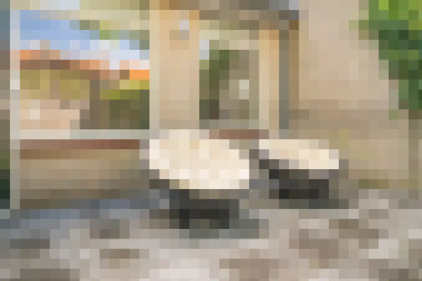 Ribbelthorst 5 Enschede thumbnail 30