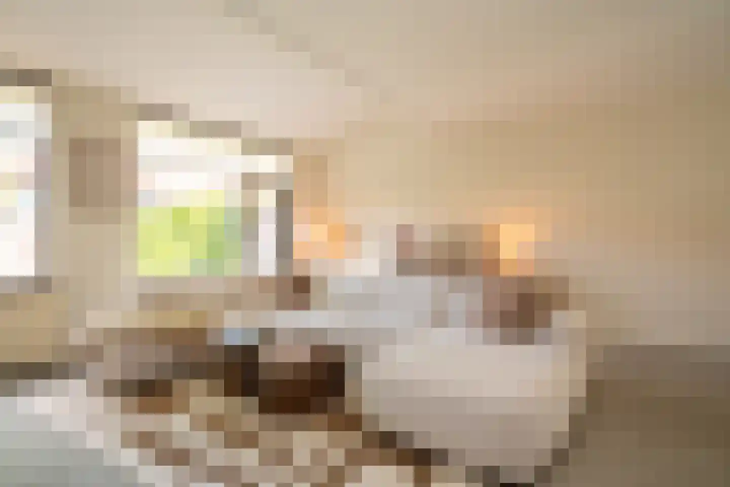 Ribbelthorst 5 Enschede thumbnail 9