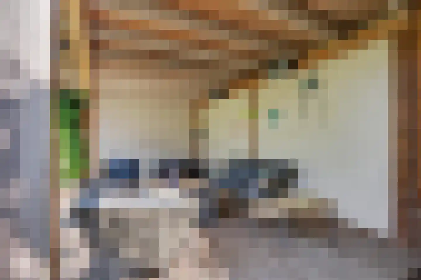 Ribbelthorst 70 Enschede thumbnail 32
