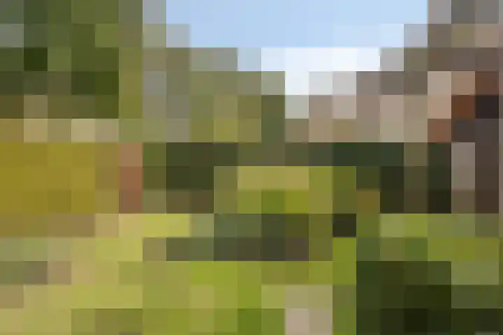 Ribbelthorst 72 Enschede thumbnail 33