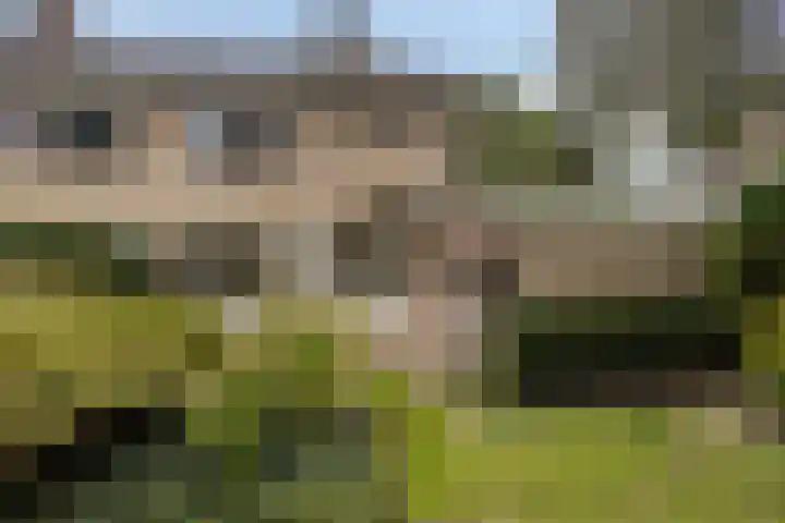 Ribbelthorst 72 Enschede thumbnail 34