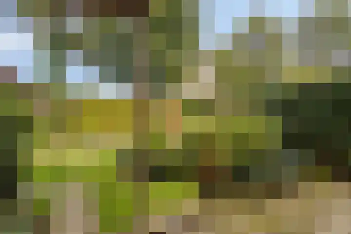Ribbelthorst 72 Enschede thumbnail 4