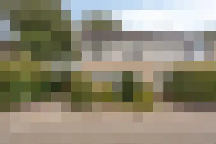 Ribbelthorst 72 Enschede thumbnail 6