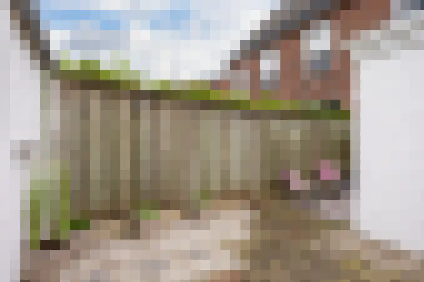 Ribbeltsweg 11 Enschede thumbnail 31