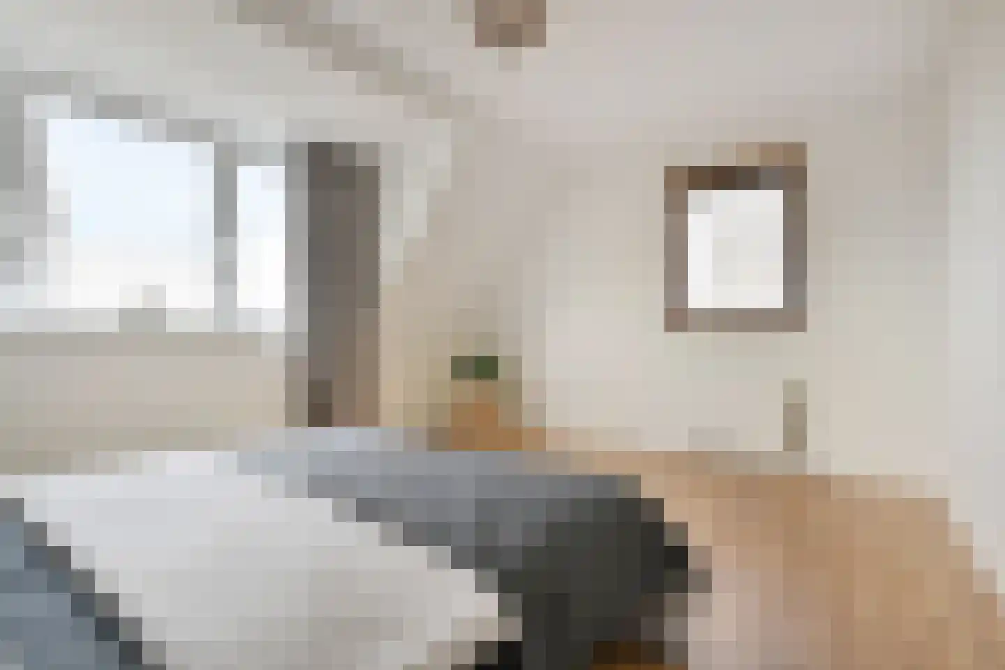 Ribbelzegge 1 Den Haag thumbnail 14