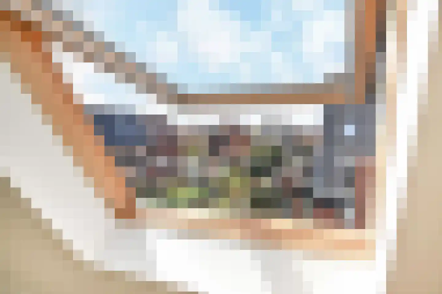 Ribbelzegge 1 Den Haag thumbnail 22