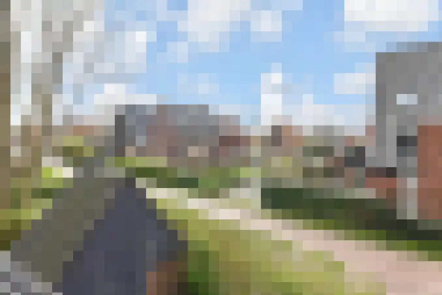 Ribbelzegge 1 Den Haag thumbnail 28