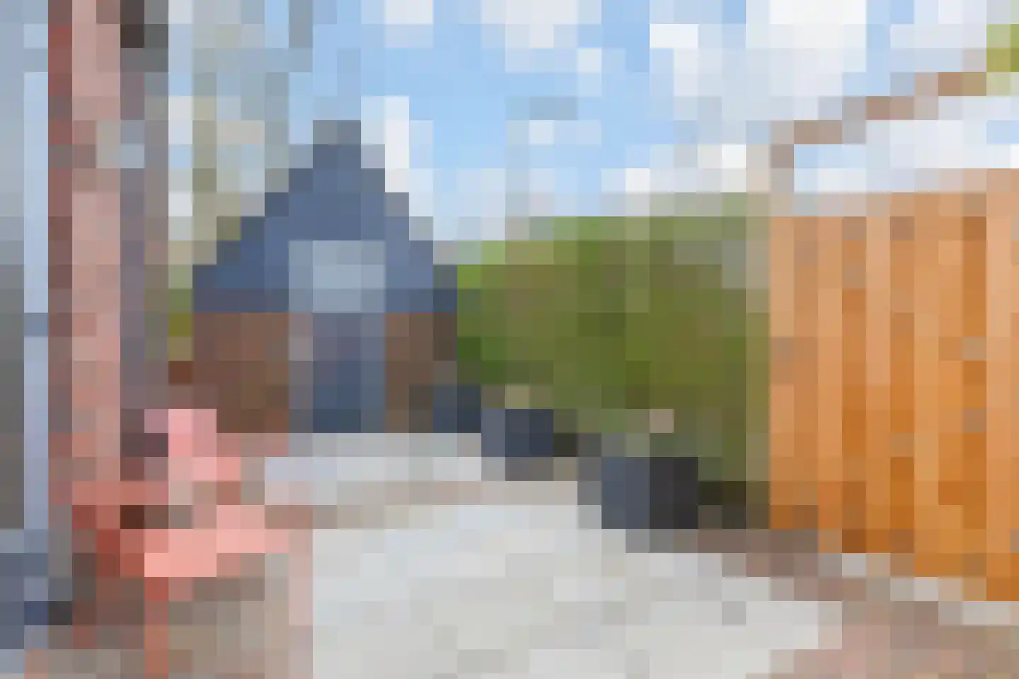 Ribbelzegge 1 Den Haag thumbnail 30