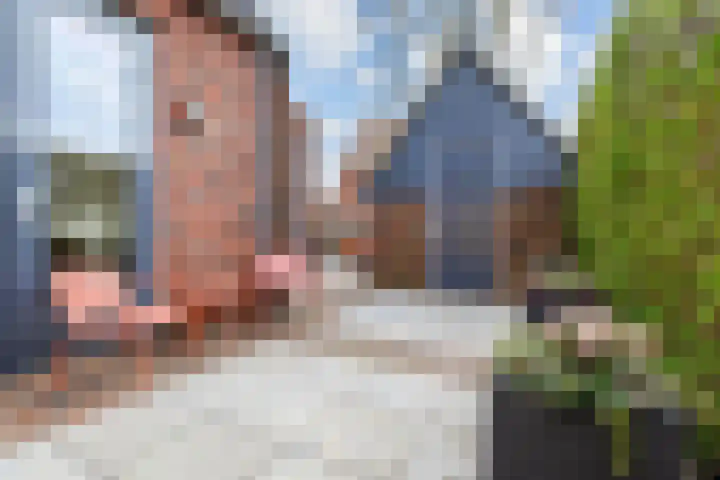 Ribbelzegge 1 Den Haag thumbnail 31