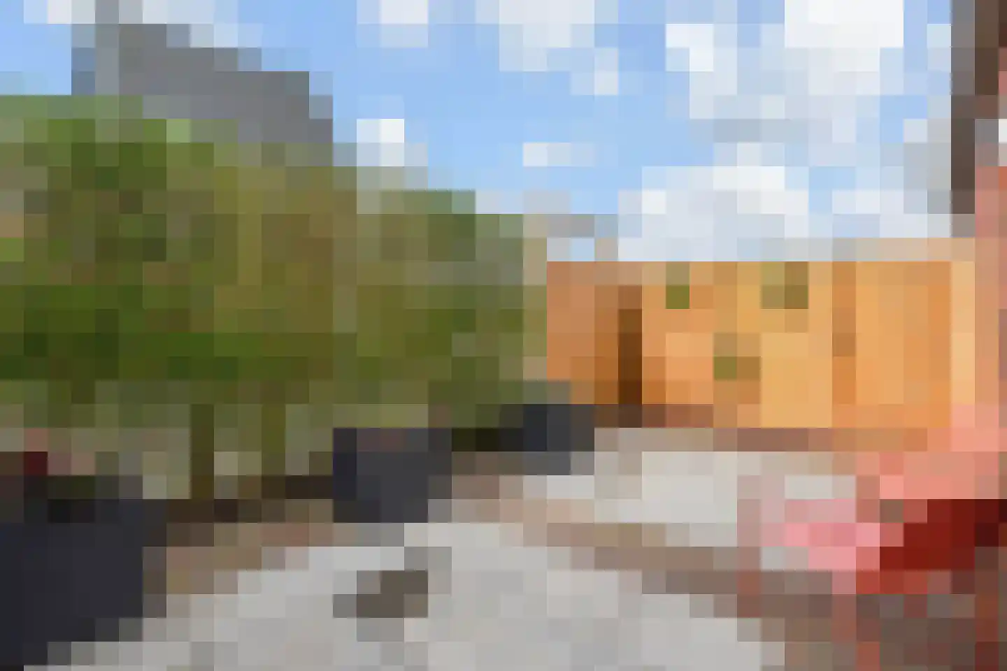 Ribbelzegge 1 Den Haag thumbnail 32