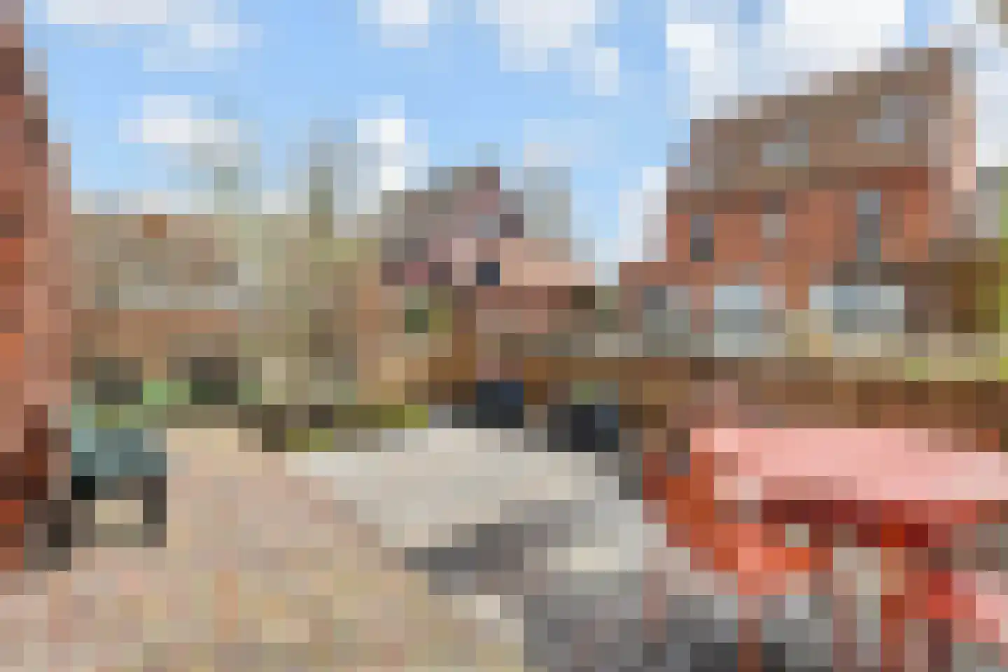 Ribbelzegge 1 Den Haag thumbnail 33