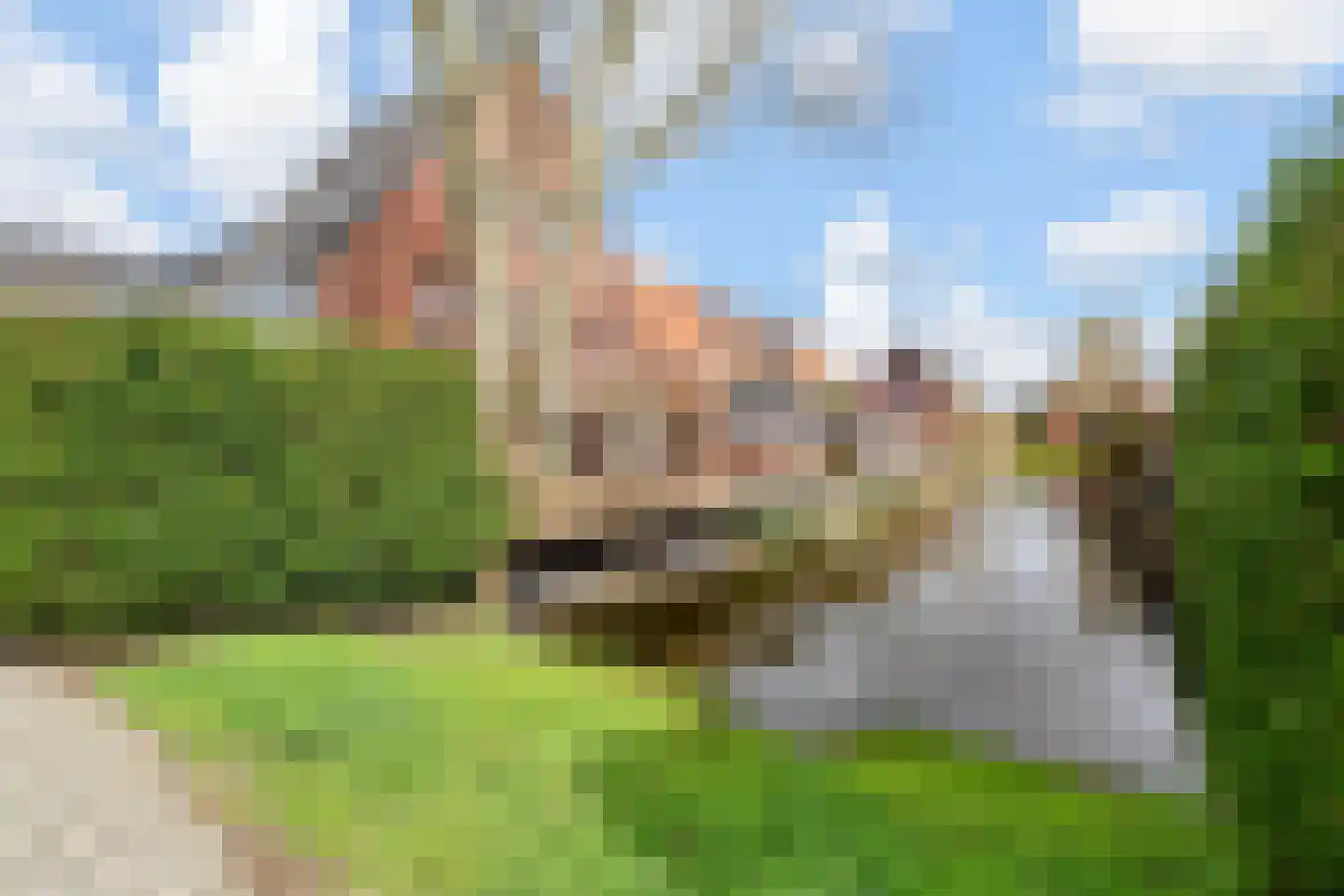 Ribbelzegge 1 Den Haag thumbnail 34