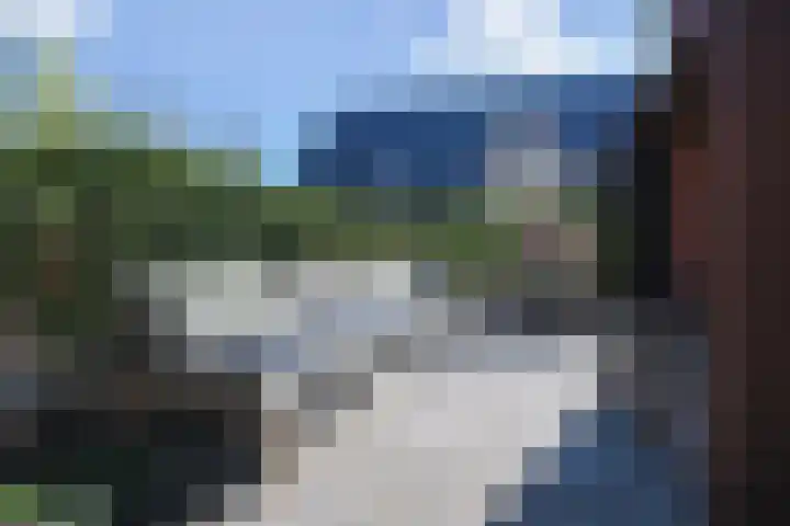 Ribbelzegge 25 Den Haag thumbnail 14
