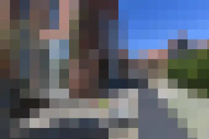 Ribbelzegge 25 Den Haag thumbnail 15