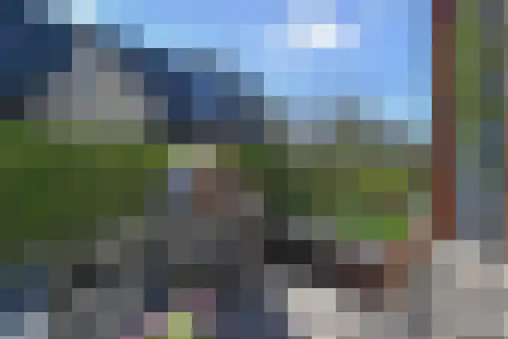 Ribbelzegge 25 Den Haag thumbnail 16