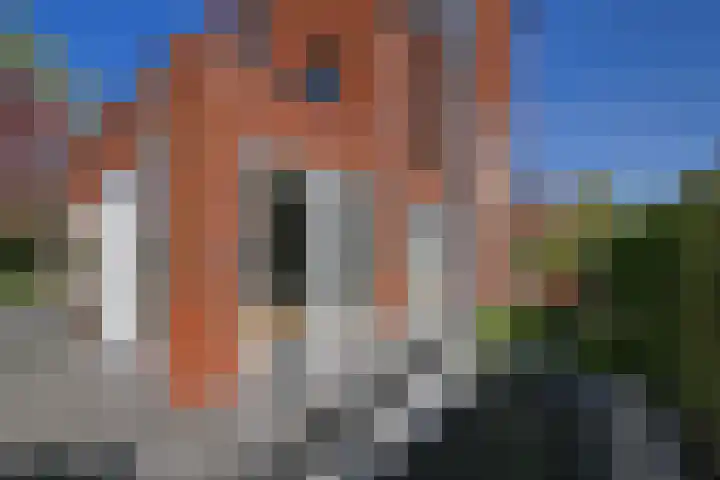 Ribbelzegge 25 Den Haag thumbnail 17